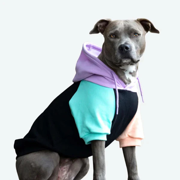 Pet Apparel