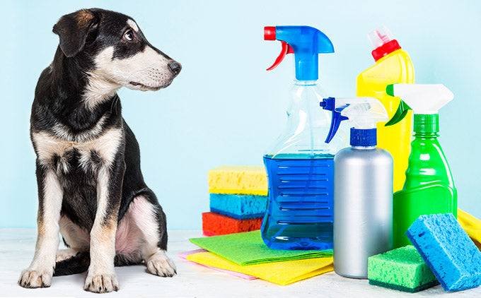 Cleaning Supplies