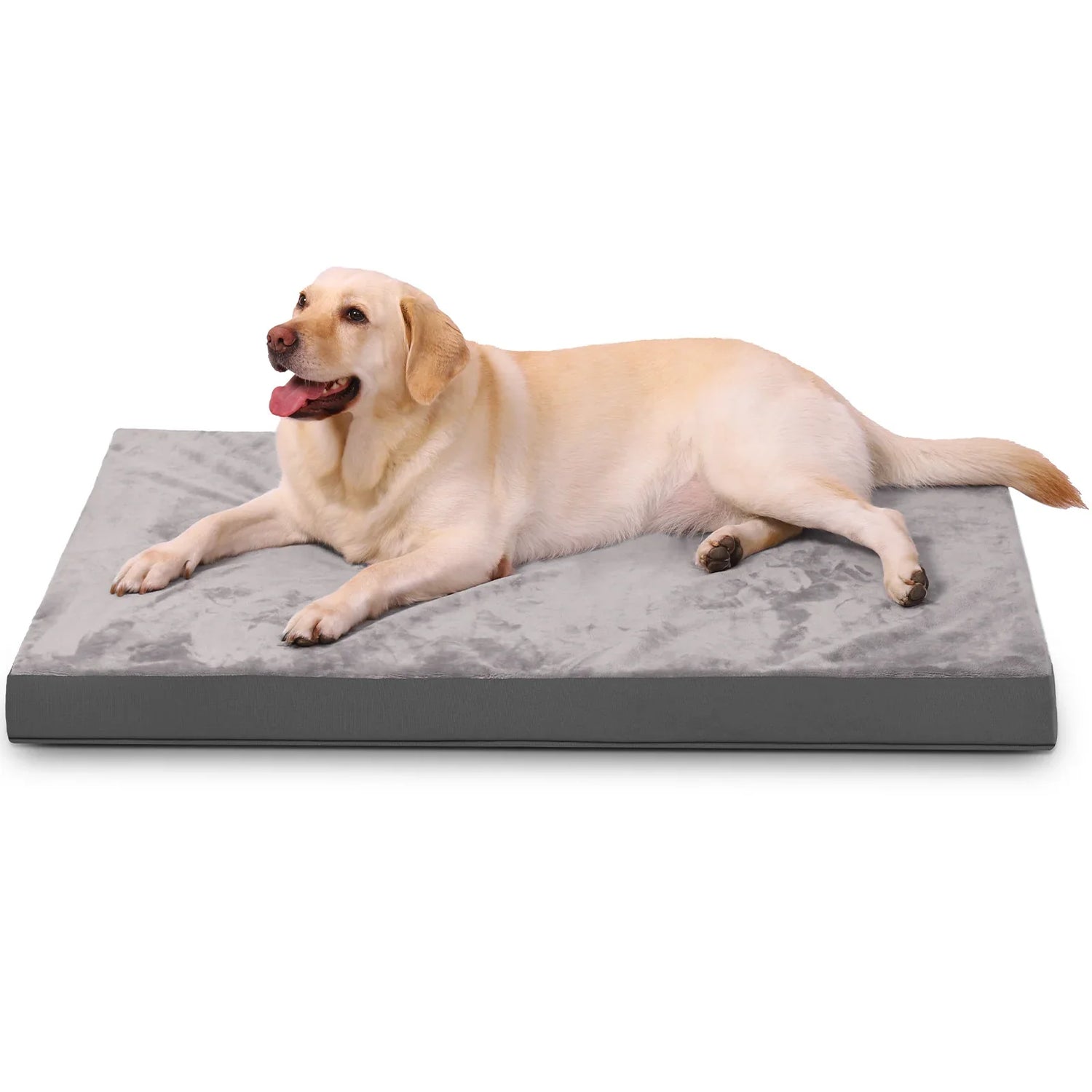 Pet Beds