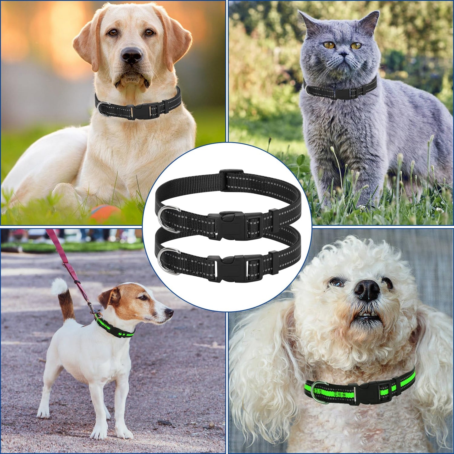 Pet Collars